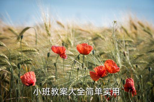 小班教案大全简单实用