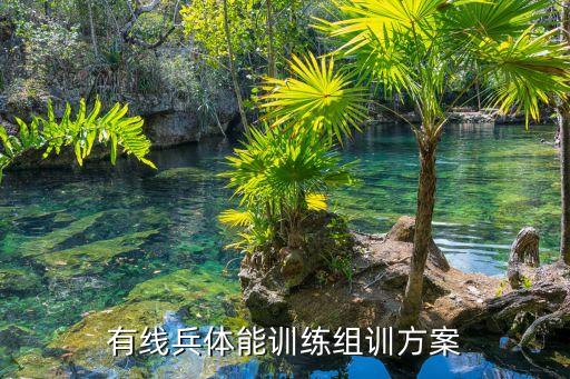有线兵体能训练组训方案