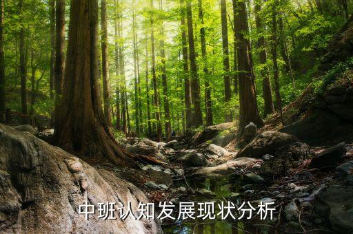 现代教育的发展教案中班，幼儿教育的历史发展