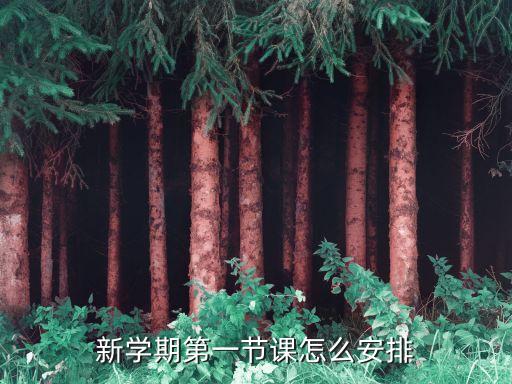 大班第一学期开学第一课教案，大班第一学期开学都学些什么