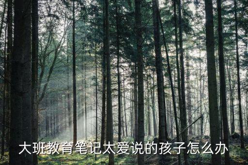 大班教育笔记太爱说的孩子怎么办