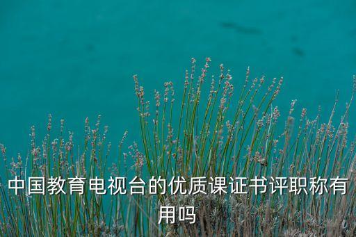 中国教育电视台的优质课证书评职称有用吗