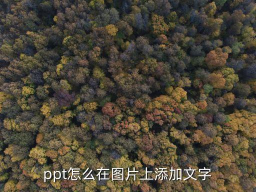 ppt怎么在图片上添加文字