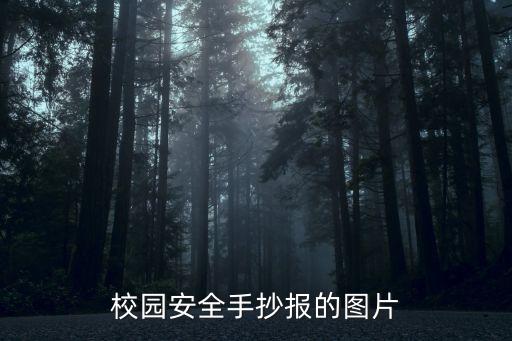 校园安全手抄报的图片