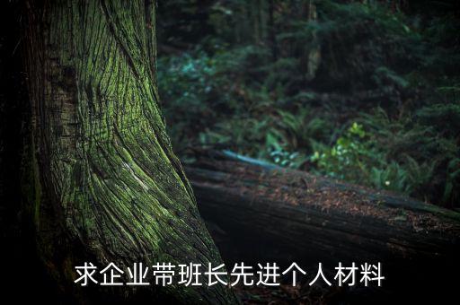求企业带班长先进个人材料