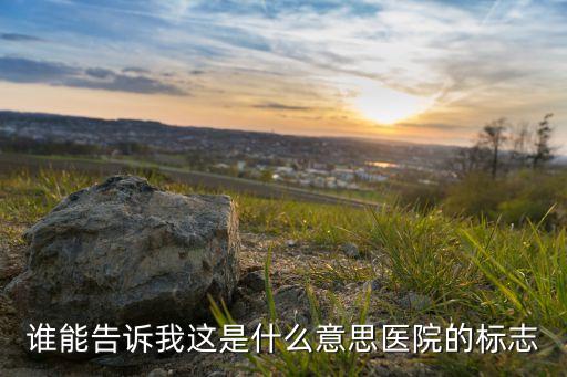 谁能告诉我这是什么意思医院的标志
