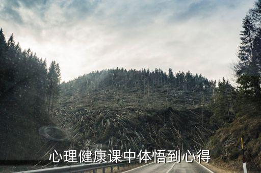 心理健康课中体悟到心得