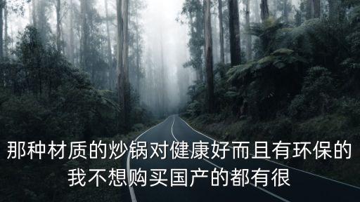 那种材质的炒锅对健康好而且有环保的我不想购买国产的都有很