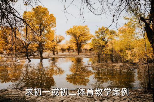 体育片段教学模板，谁能帮我写三十份体育课教案