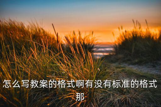 怎么写教案的格式啊有没有标准的格式那