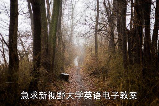 高校教案模板免费下载，有没有网站可以专门下载各个大学的课件