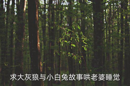 小朋友的故事书睡前听大灰狼，大灰狼的故事