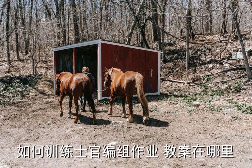 如何训练士官编组作业 教案在哪里