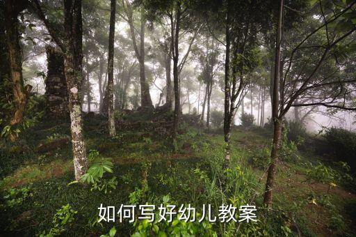 如何写好幼儿教案