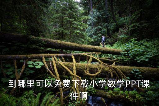 到哪里可以免费下载小学数学PPT课件啊