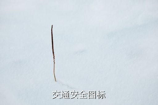 交通安全图标