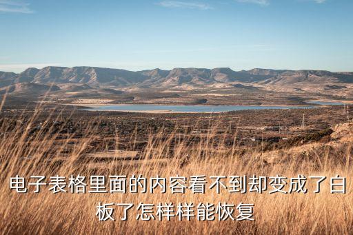 电子表格里面的内容看不到却变成了白板了怎样样能恢复