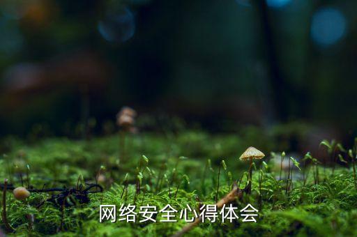 同上一堂网络安全课观后感，网络安全教育听后感
