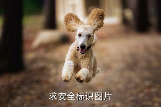 求安全标识图片