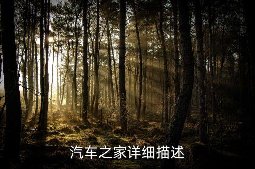 汽车之家详细描述