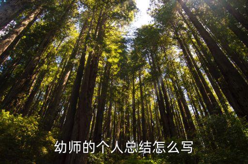 幼师的个人总结怎么写