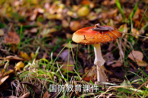 部队优良传统教育教案模板下载，国防教育课件