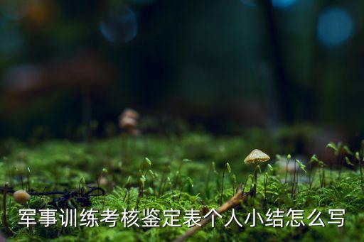 军事训练考核鉴定表个人小结怎么写
