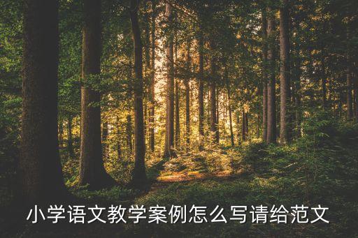 小学语文教学案例怎么写请给范文
