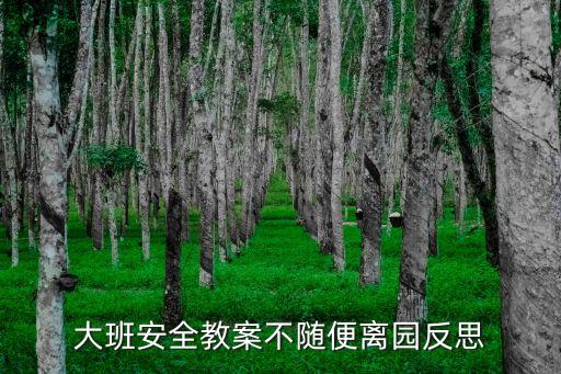 大班安全教案不随便离园反思