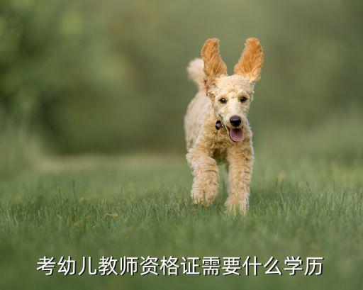考幼儿教师资格证需要什么学历