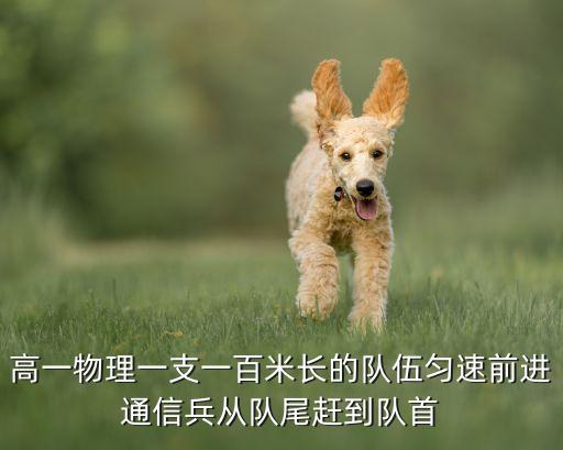 通信兵教案，求通信教案一篇 军事上的