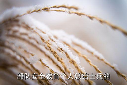 部队安全教育个人总结士兵的