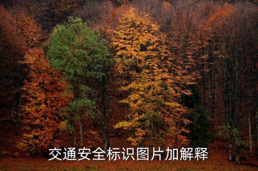 交通标志标牌图片大全，交通标志图片