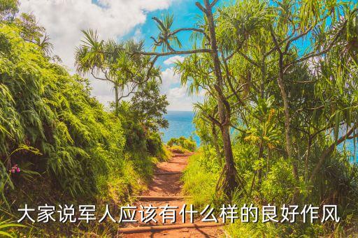 大家说军人应该有什么样的良好作风
