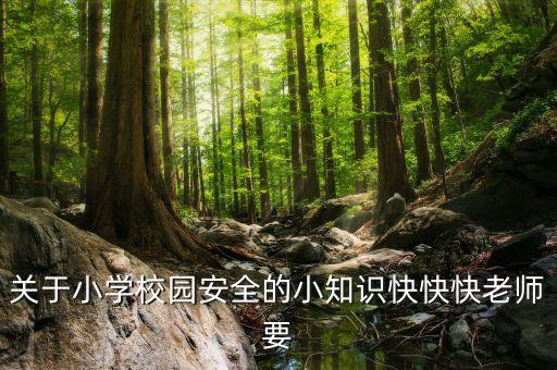 关于小学校园安全的小知识快快快老师要