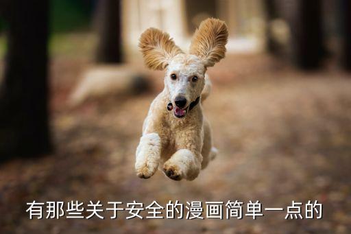 有那些关于安全的漫画简单一点的