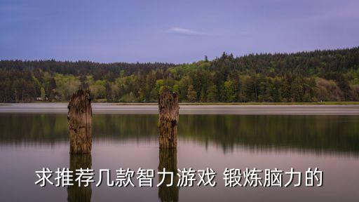 求推荐几款智力游戏 锻炼脑力的