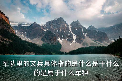 军队里的文兵具体指的是什么是干什么的是属于什么军种