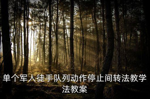 部队教学法教案模板范文下载安装，单个军人徒手队列动作停止间转法教学法教案