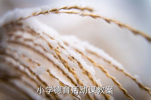 小学德育活动课教案