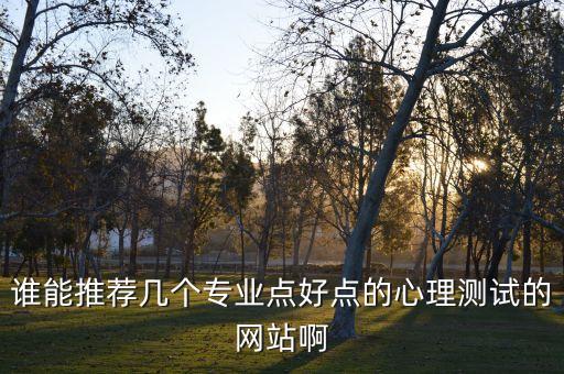 谁能推荐几个专业点好点的心理测试的网站啊