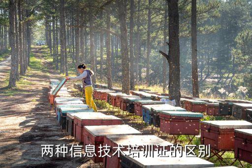 两种信息技术培训证的区别