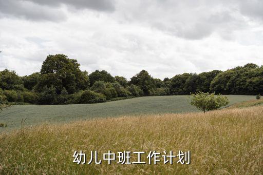 幼儿中班工作计划