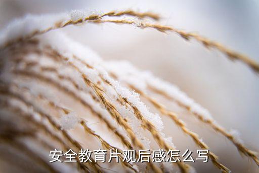 安全教育片观后感怎么写