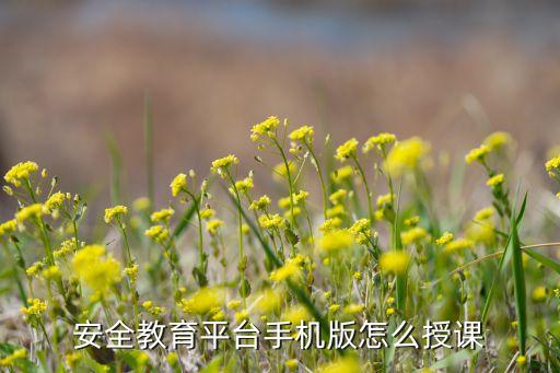 安全教育平台手机版怎么授课