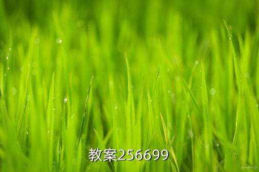 教案256699