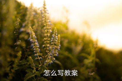怎么写教案