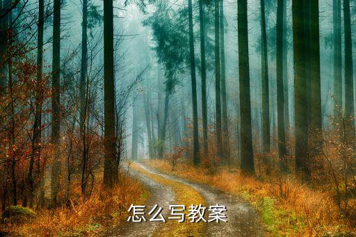 教案的重难点怎么写，怎么写教案