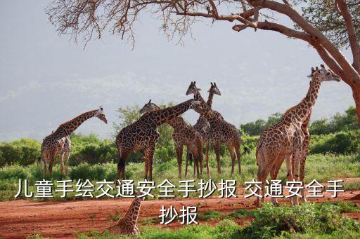 儿童手绘交通安全手抄报 交通安全手抄报