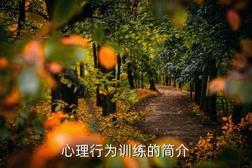 心理行为训练项目，心理咨询培训有哪些常规项目